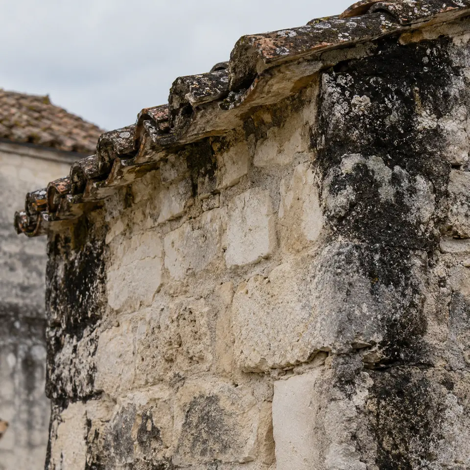 mur de pierre ancien noirci par un champignon près d'un chai